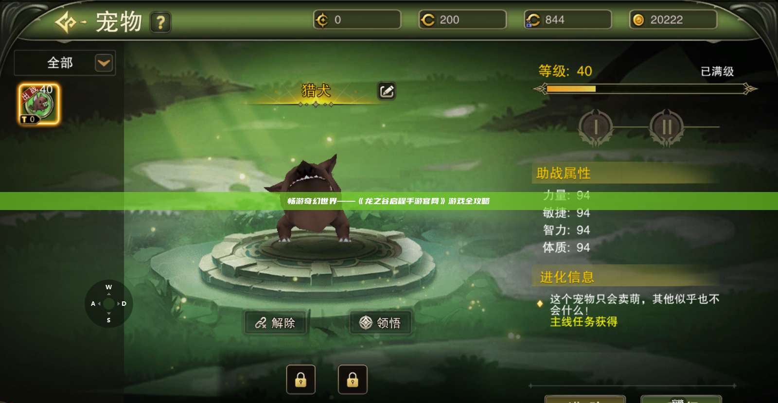 畅游奇幻世界——《龙之谷启程手游官网》游戏全攻略 第1张